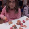20171124_164608  kopie_resize